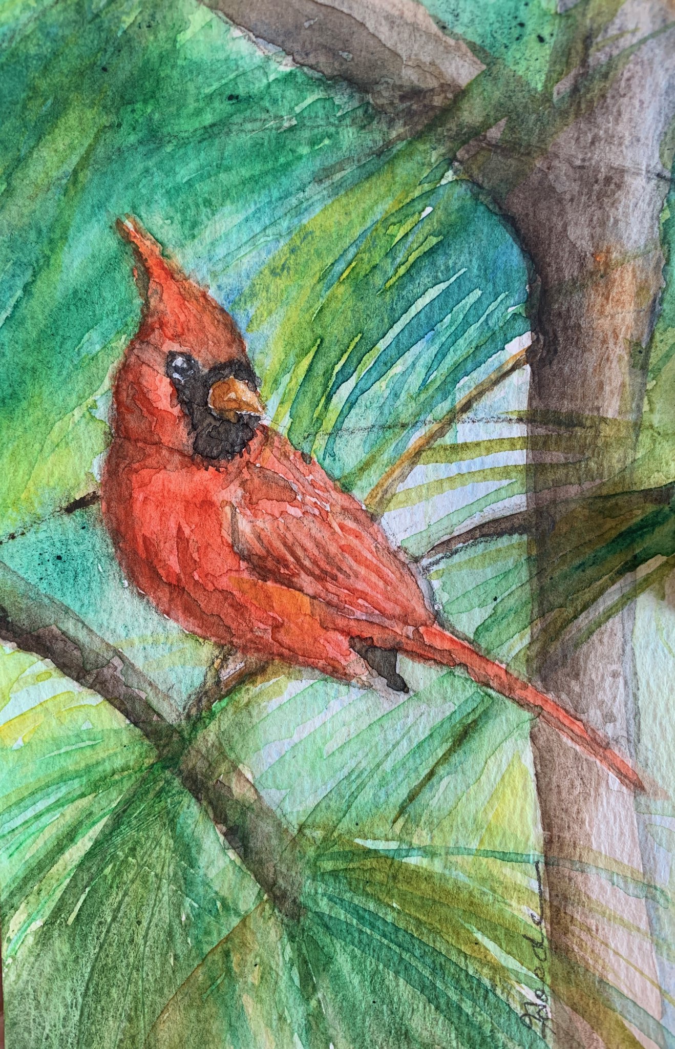 Cardinal Card